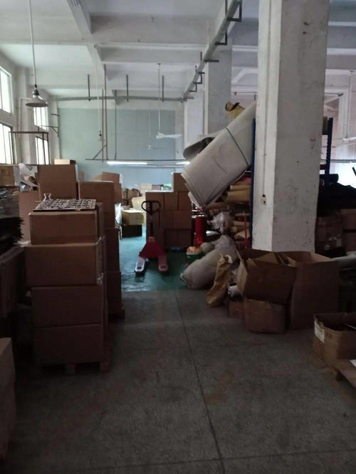 東莞一物業(yè)公司因違規(guī)被重罰16000元，光學器材亂象引關(guān)注