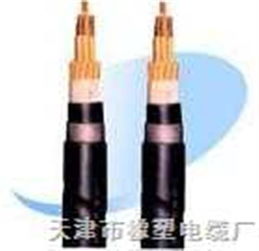 RVZ與RVZ電力電纜 規(guī)格、特點(diǎn)與應(yīng)用全解析