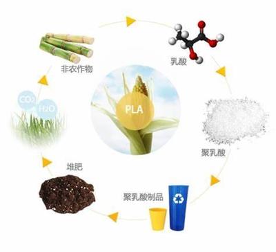 關(guān)于生物可降解塑料的誤解,你中了幾個?