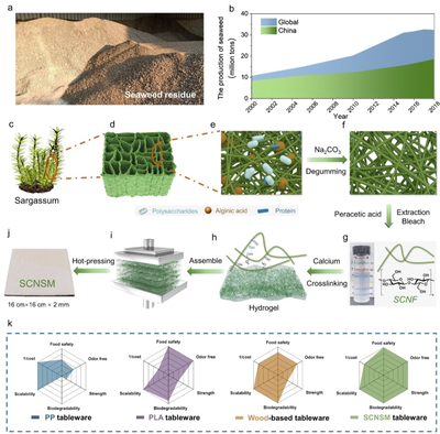 中科大俞書宏院士團(tuán)隊(duì)AM:可食用、超強(qiáng)、熱穩(wěn)定好的海藻基結(jié)構(gòu)材料,可生物降解餐具新選擇!