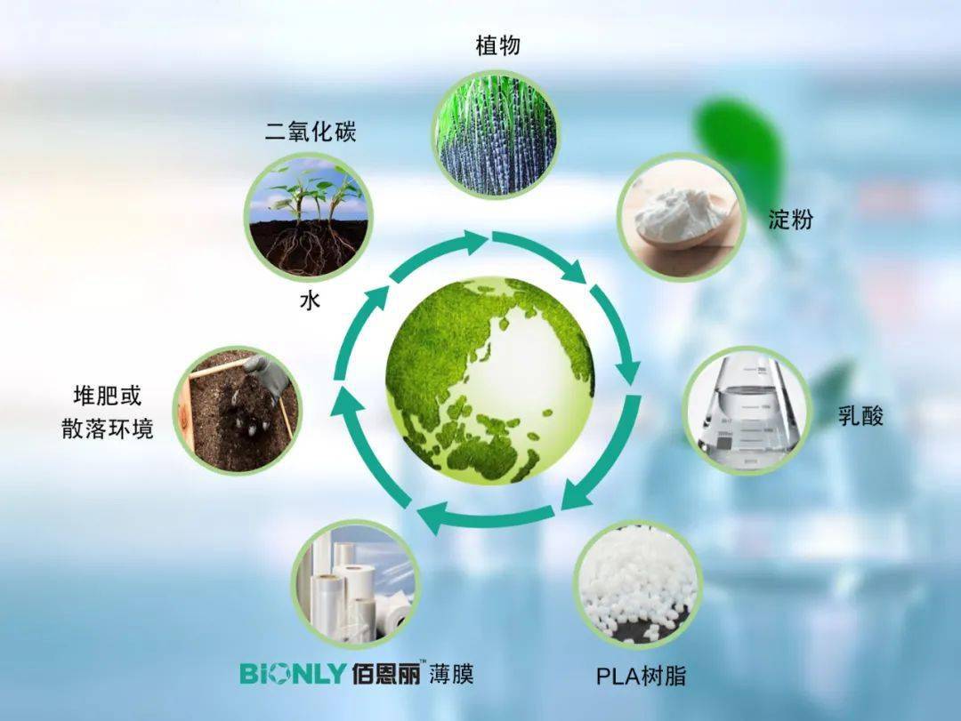 iPhone 13棄用傳統塑料膜，消費電子包裝材料迎來升級換代